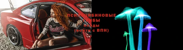 ALPHA PVP Богородицк