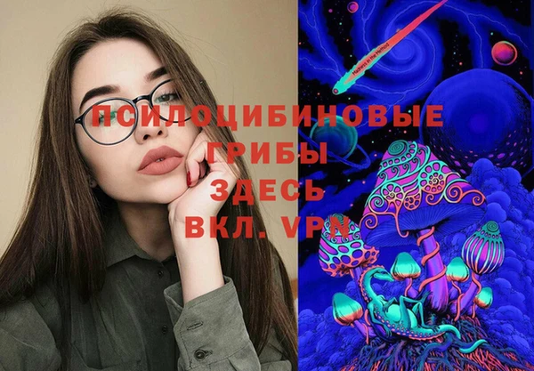 МДПВ Богданович