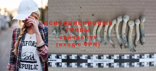 крисы Бугульма