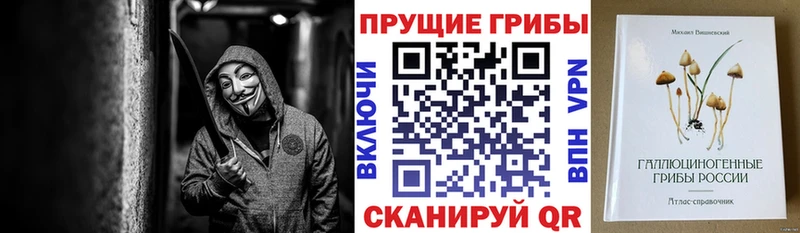 купить наркотик Надым Галлюциногенные грибы Magic Shrooms
